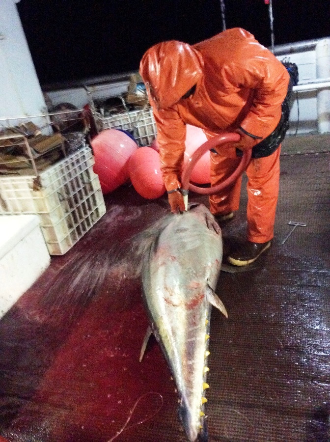 Xuất khẩu lao động Nhật Bản